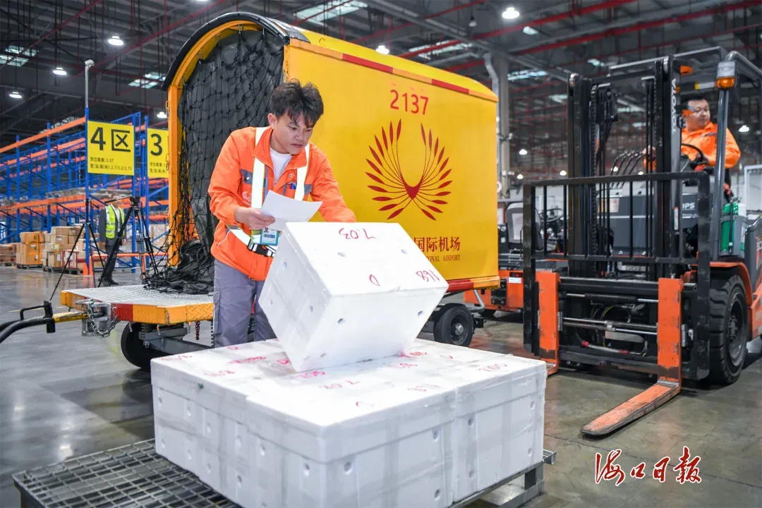 配资开户官网 海口美兰机场口岸首票鲜活海鲜通关